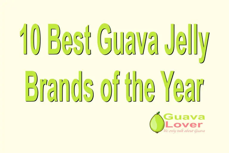 10 Best Guava Jelly Brands of the Year