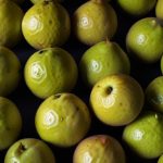 Guava Fruit in Folk Medicine