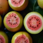 The Anti-Aging Benefits of Guava Fruit in Skincare