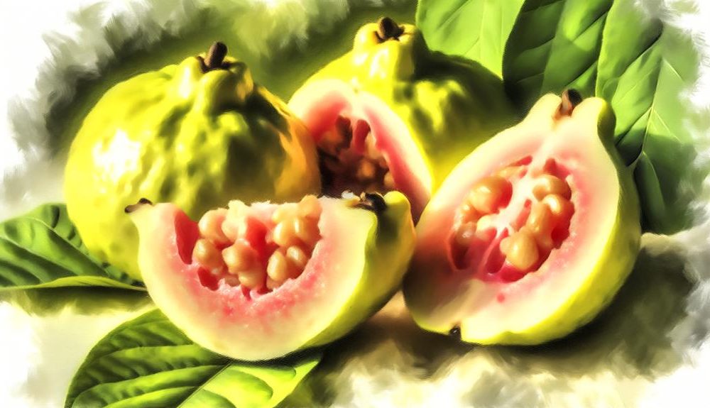 guava nutrient packed superfood fruit