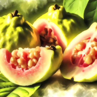 guava nutrient packed superfood fruit