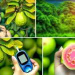 How Guava Can Help Manage Diabetes Naturally