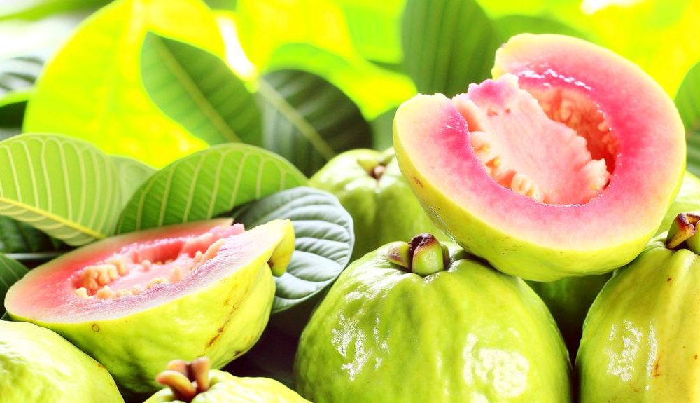 nutritious guava superfood choice